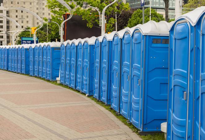 a fleet of portable restrooms ready for use at a large outdoor wedding or celebration in Carnation, WA